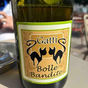 Bolle Bandite - Azienda Agricola Gatti - Carolina Gatti 