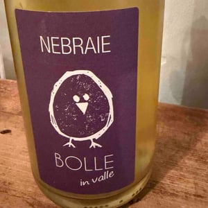 BOLLE in valle - Azienda Agricola Nebraie - Andrea Tacchella -2022