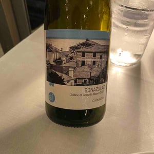 Bonazolae - . - davide-zoppi-aida-forgione