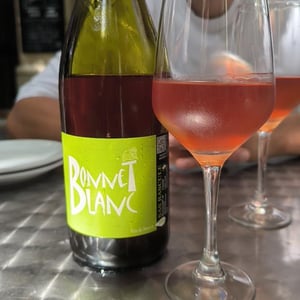 Bonnet blanc - SAS Bascule! + Ex Domaine Leonine - Caroline & Stéphane Morin -2021