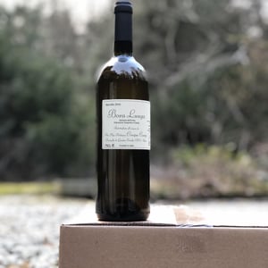Bora Lunga - Cinque Campi - vanni-nizzoli