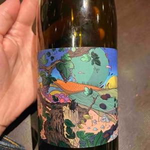 Boréale - Domaine De L’Enviegne - Alexis Tondeur 
