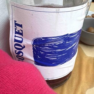 Bosquet - Ve d'Avior - Cati Ribot