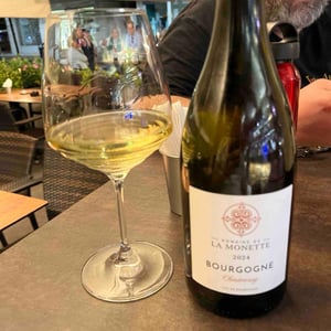 Bourgogne - Domaine de la Monette - roelof-marlon-ligtmans-steine -2024