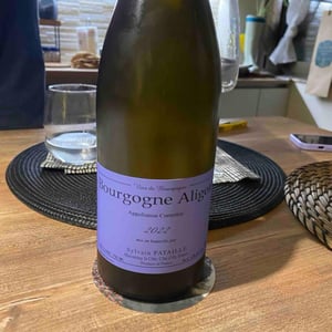 Bourgogne Aligoté - Domaine Pierrick Bouley - pierrick-bouley -2021