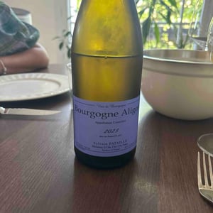 Bourgogne Aligoté - Sylvain Pataille - sylvain-pataille