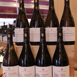 Bourgogne Aligoté - Domaine Thomas Collardot - Thomas Coursodon -2023
