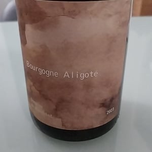 Bourgogne Aligoté - Domaine de Mandelot - François Grangé -2023