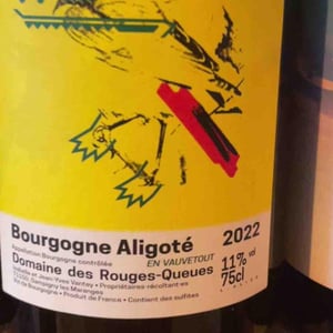 Bourgogne Aligoté En Vauvetout - Domaine des Rouges-Queues - isabelle-jean-yves-vantey -2022