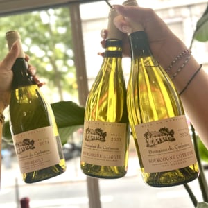BOURGOGNE ALIGOTE - Domaine du Cerberon - Domaine du Cerberon -2023