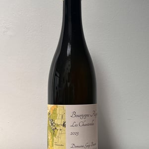 Bourgogne Aligoté Les Chanterelles - Domaine Guy Bocard - Charles Bocard -2023