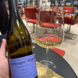 Bourgogne Aligoté - Sylvain Pataille - sylvain-pataille