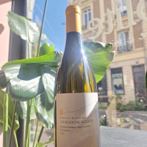 Bourgogne Aligoté - Domaine Bonnardot - antoine-ludovic-emilien-bonnardot