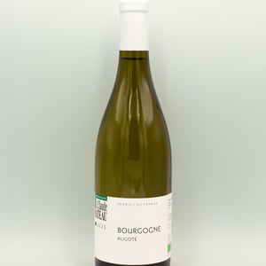 Bourgogne - Jean Claude Rateau - amel-nouar-et-jean-claude-rateau -2025
