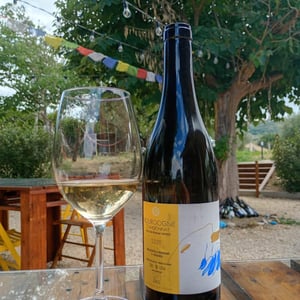 Bourgogne Blanc - Château de Béru - Athénaïs de Béru -2020