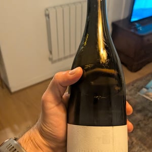 Bourgogne Blanc - Domaine Jean Trapet Père et Fils - jean-louis-trapet