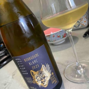 Bourgogne Blanc - Chapuis & Chapuis - Romain & Jean-Guillaume Chapuis -2023