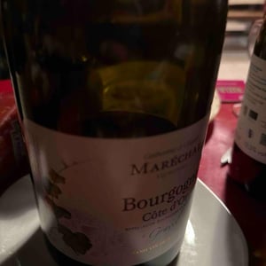 Bourgogne Côte d’or Gravel - Domaine Maréchal - catherine-claude-marechal -2019