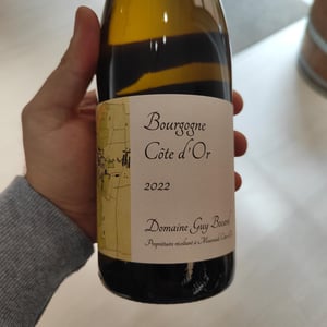 Bourgogne Côte d'Or - Domaine Guy Bocard - Charles Bocard -2022