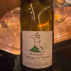 Bourgogne Coulanges La Vineuse "Chanvan" Blanc - Vini Viti Vinci - nicolas-vauthier-kikro
