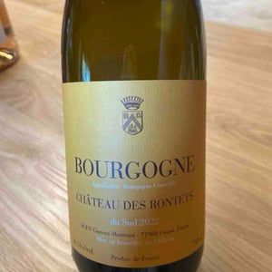 Bourgogne du sud - Château des Rontets - claire-fabio-gazeau-montrasi
