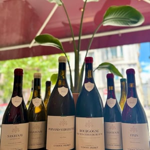 BOURGOGNE HAUTES CÔTES DE BEAUNE - Ludovic Pierrot - Ludovic Pierrot -2023