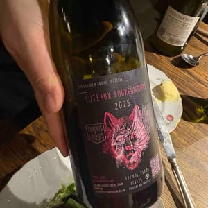 HAUTES COTE DE BEAUNE - Domaine Arnaud Chapuis - arnaud-chapuis -2020