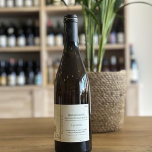 Bourgogne Hautes-Côtes de Beaune Rouge " Les Côtés " - Domaine de Cassiopée - talloulah-et-hugo-mathurin