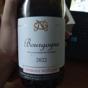 Bourgogne - Georges noellat - maxime-cherulin -2015