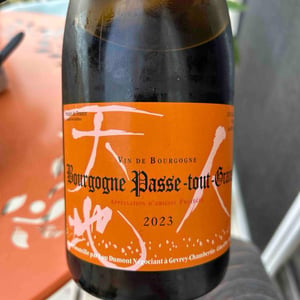 Bourgogne Passe-tout-Grains