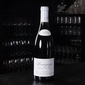 Bourgogne Rouge - Domaine Leroy / Domaine d'Auvenay - marcelle-lalou-bize-leroy