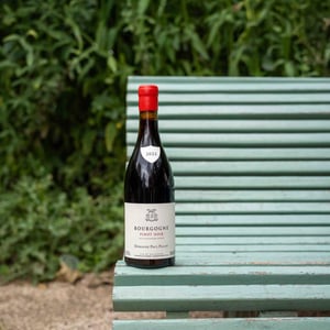 Bourgogne - Domaine Pavelot - luc-lise-pavelot -2019