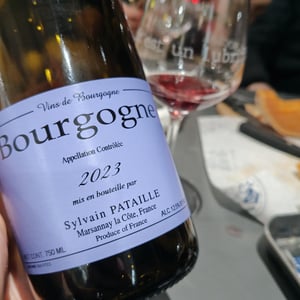 Bourgogne - Sylvain Pataille - Sylvain Pataille 