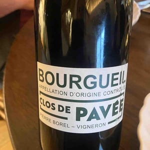 Bourgueil - Pierre Borel Vigneron - pierre-borel -2020