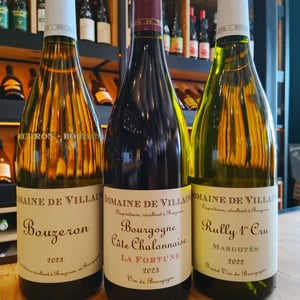 Bouzeron - Domaine De Vilaine - ap-de-vilaine