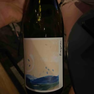 Bouzeron - La Chaume des Lies - margaux-rivaux-lothar-galloo