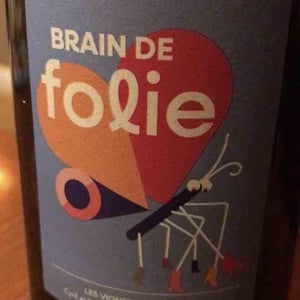 Brain de Folie Pineau d'Aunis - Domaine du Mortier - Fabien & Cyril Boisard -2023