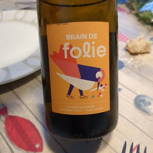Brain de Folie Chenin - Domaine du Mortier - Fabien & Cyril Boisard 