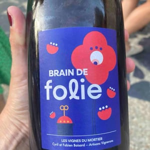 Brain de Folie PÉTILLANT NATUREL 100% CHENIN - Domaine du Mortier - Fabien & Cyril Boisard 