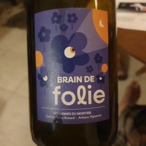 Brain de Folie Pineau d'Aunis - Domaine du Mortier - Fabien & Cyril Boisard -2023