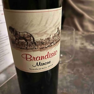 Brandisio minore - Oreste Tombolini vitivinicultore - Oreste Tombolini -2019