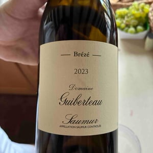 Brézé - Domaine Guiberteau - romain-guiberteau