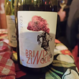 Brindzingue - Chasse Cousin - baptiste-ramboz-nv -2023