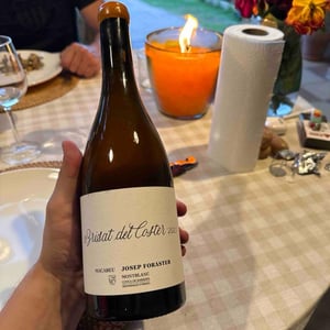 Brisat Del Coster - Conca de barbera - josep-foraster -2021