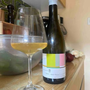 "Brogerdynamisch - Muller Thurgau" - Michael Broger Weinbau - michael-broger