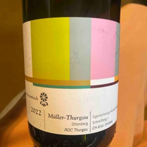 "Brogerdynamisch - Muller Thurgau" - Michael Broger Weinbau - michael-broger