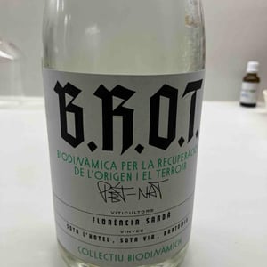 B.R.O.T - Brot Col•lectiu - florencia-sarda -2025