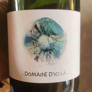Brut Nature - Domaine D'ici là - Adrien Bariol 