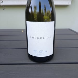 Brut Nature - Azienda Agricola Cherubini - mattia-corbellini -2022