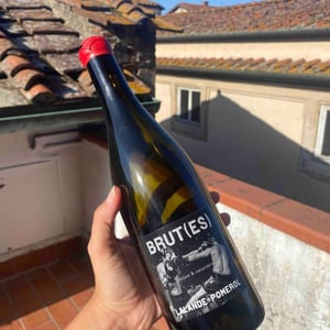 Brut(es) - Marius Bielle - Damien Bielle -2020